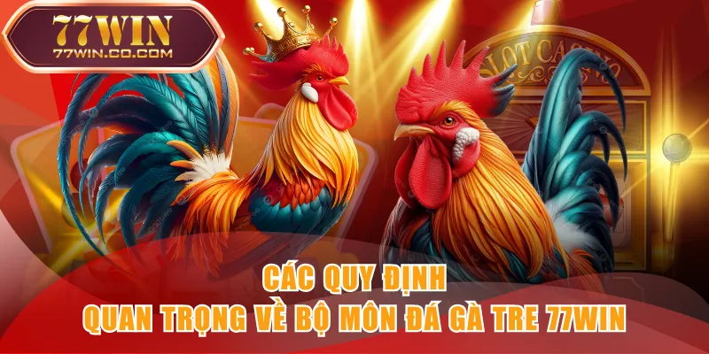 Các quy định quan trọng về bộ môn đá gà tre 77WIN