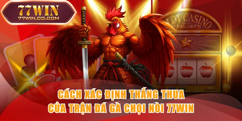 Cách xác định thắng thua của trận Đá Gà Chọi Nòi 77WIN