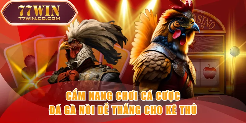 Cẩm nang chơi cá cược đá gà nòi dễ thắng cho kê thủ