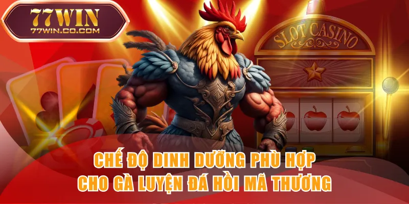 Chế độ dinh dưỡng phù hợp cho gà luyện đá hồi mã thương