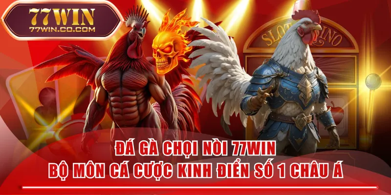 Đá Gà Chọi Nòi 77WIN - Bộ Môn Cá Cược Kinh Điển Số 1 Châu Á