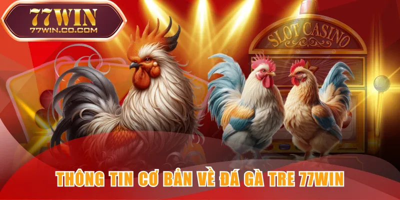 Thông tin cơ bản về đá gà tre 77WIN