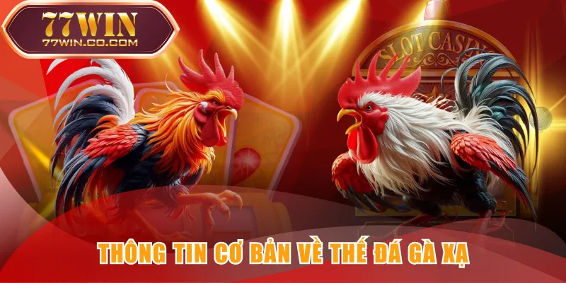 Thông tin cơ bản về thế đá gà xạ