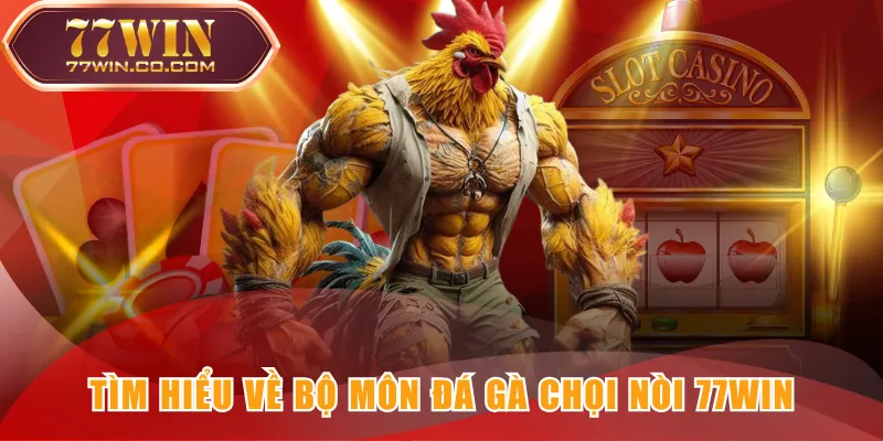 Tìm hiểu về bộ môn đá gà chọi nòi 77WIN